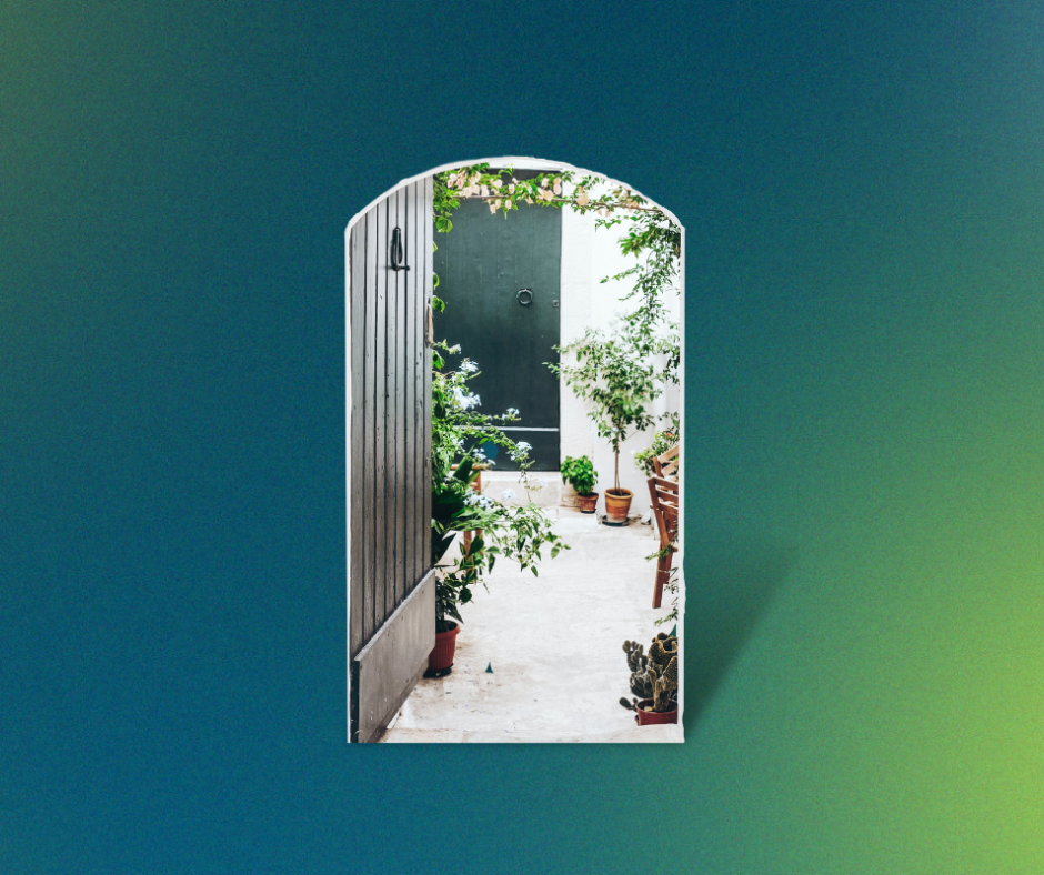 door-on-colorful-gradient-background-looking-into-plant-filled-room